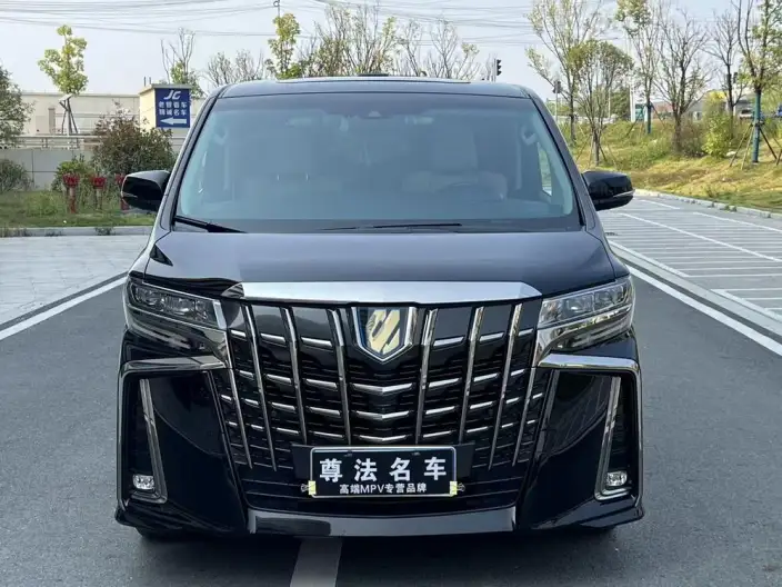 Elfa 2022 Model Hybrid 2.5L Zhen Xiang · Gold Edition – фото 2