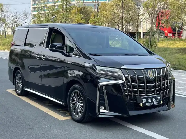 Elfa 2022 Model Hybrid 2.5L Zhen Xiang · Gold Edition – фото 3