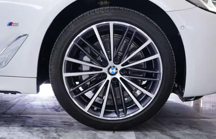 BMW 5 Series 2023 Model 530Li Leading Model M Sports Set – фото 8