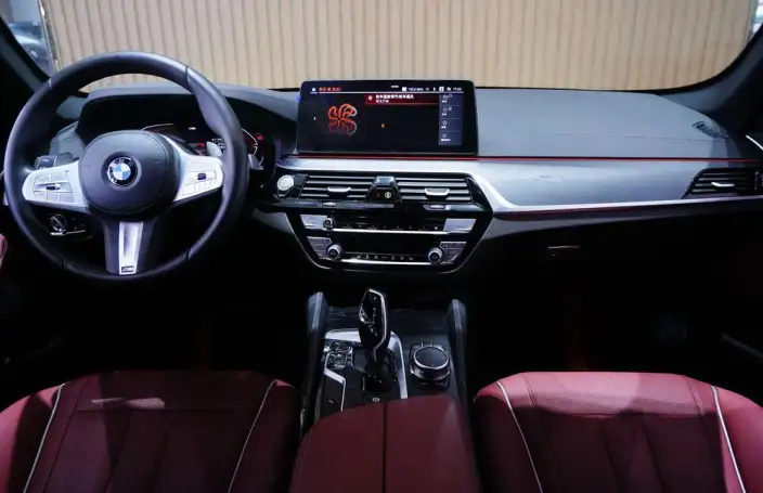 BMW 5 Series 2023 Model 530Li Leading Model M Sports Set – фото 10