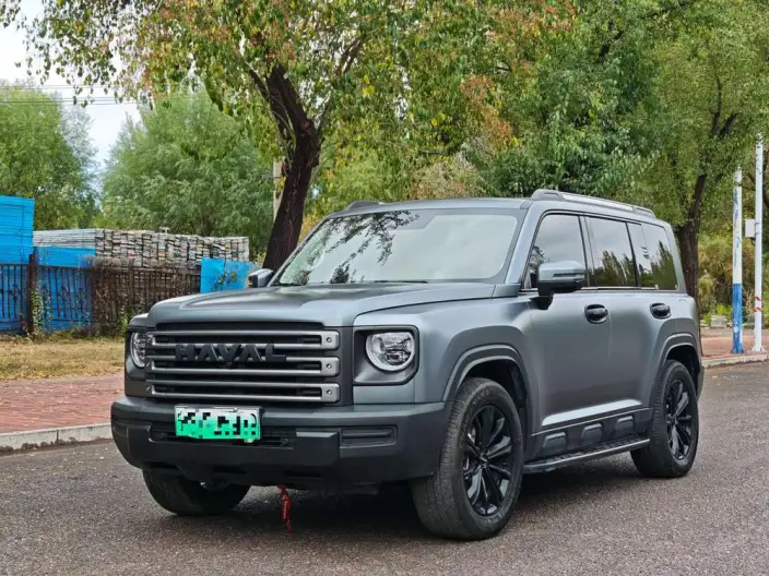 HAVAL Menglong PHEV 2024 Model 1.5T Hi4 145 Pro