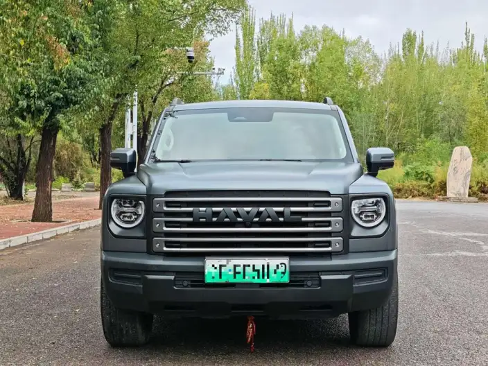 HAVAL Menglong PHEV 2024 Model 1.5T Hi4 145 Pro