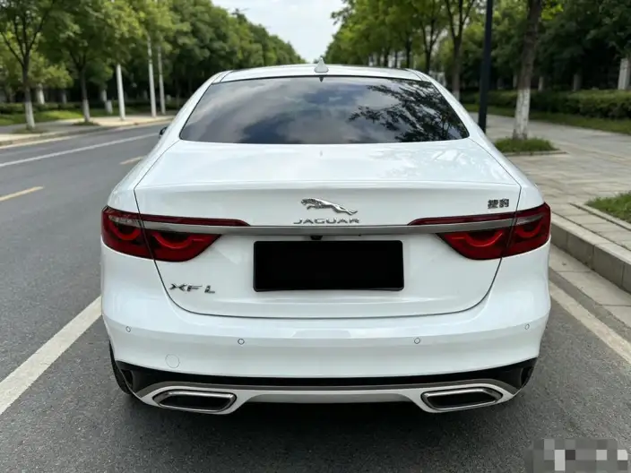Jaguar XFL 2022 Model 2.0T P250 2WD Elite Sports Edition – фото 6