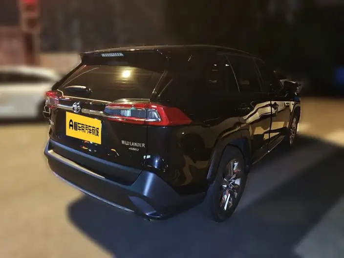 Toyota Wildlander 2021 Model 2.0L 4WD Deluxe Edition – фото 2