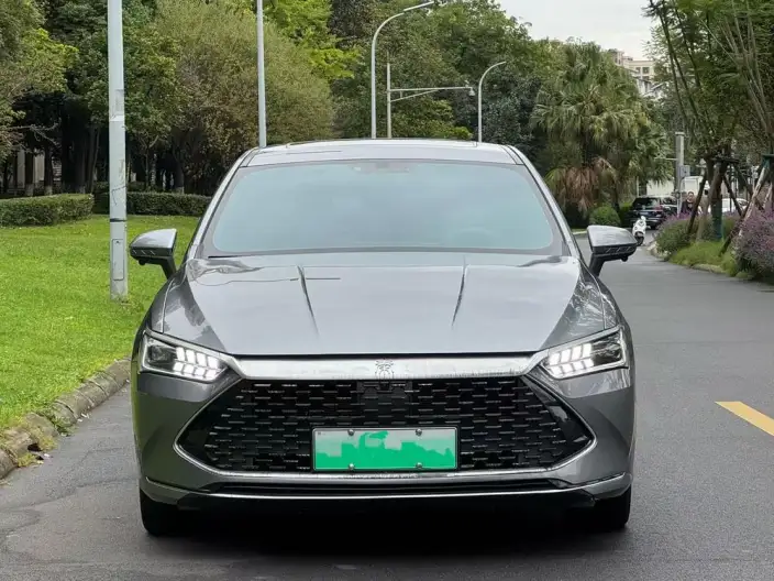 BYD Qin PLUS DM 2021 Model DM-i 55KM Flagship Model – фото 2