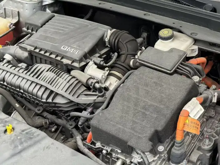 BYD Qin PLUS DM 2021 Model DM-i 55KM Flagship Model – фото 8