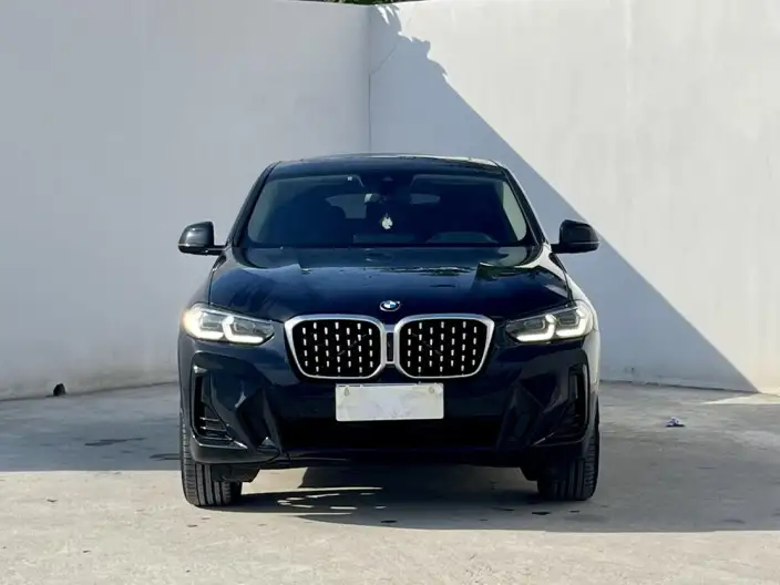 BMW X4 2022 Model xDrive 30i M Sports Set – фото 2