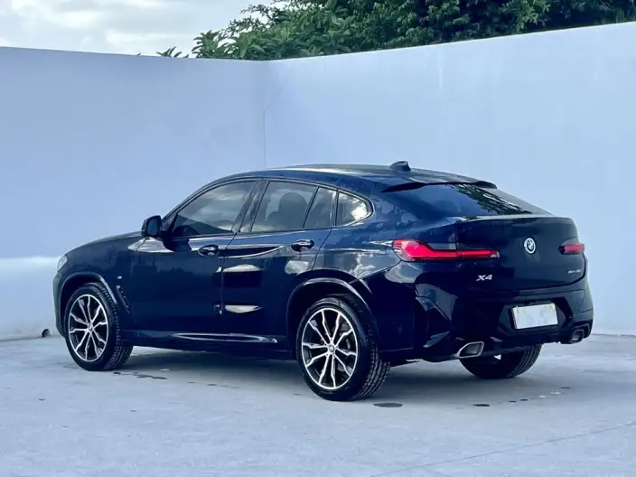 BMW X4 2022 Model xDrive 30i M Sports Set – фото 4