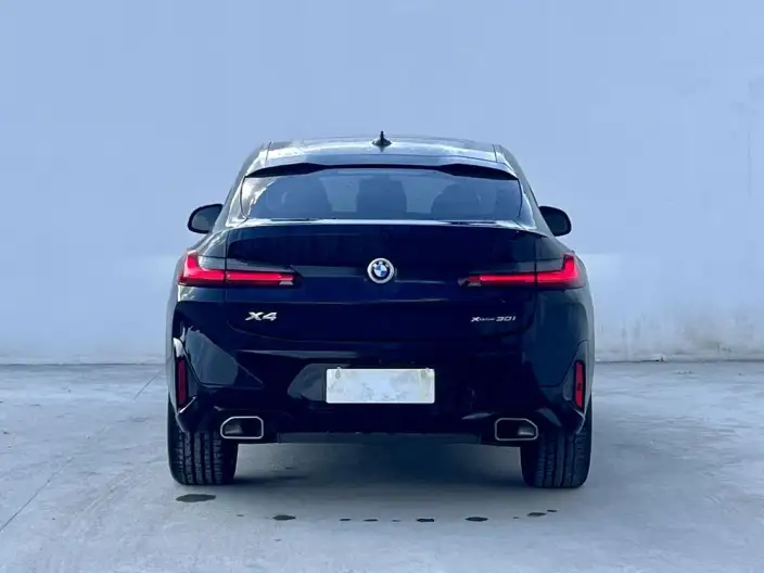 BMW X4 2022 Model xDrive 30i M Sports Set – фото 5