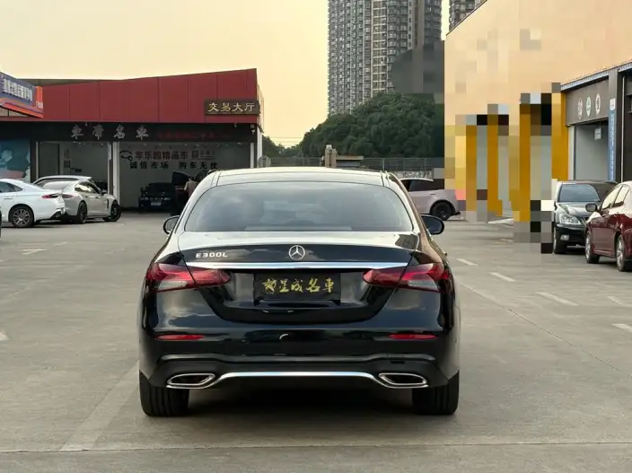 Mercedes-Benz E-Class 2023 Model E 300 L Noble Model Sports sedan – фото 5