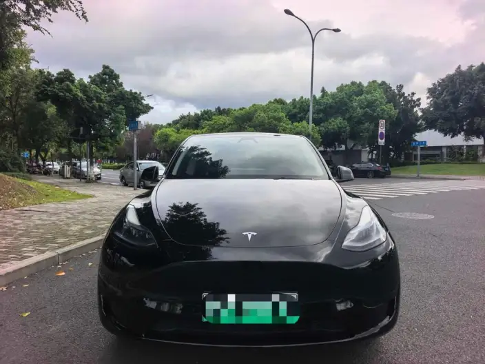 Model Y 2024 Model Rear-wheel drive version – фото 2