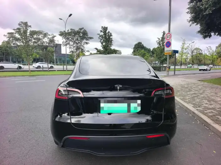 Model Y 2024 Model Rear-wheel drive version – фото 3