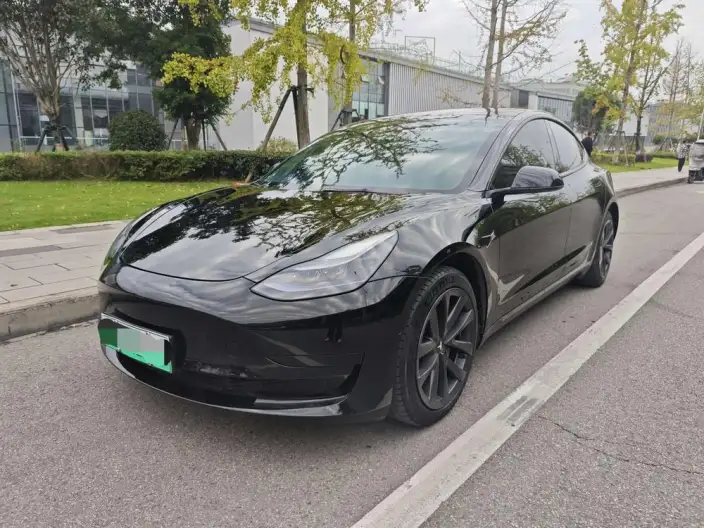 Model 3 2022 Model Rear-wheel drive version – фото 1