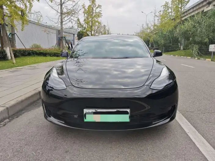 Model 3 2022 Model Rear-wheel drive version – фото 2