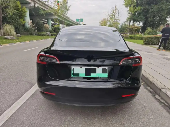 Model 3 2022 Model Rear-wheel drive version – фото 5