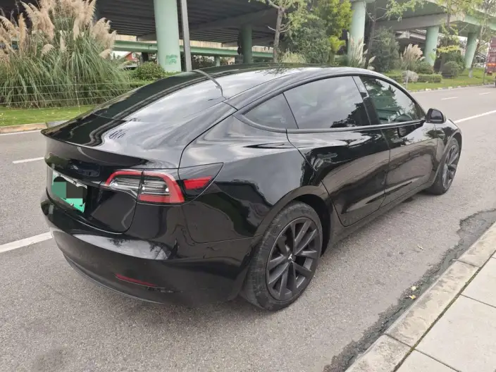 Model 3 2022 Model Rear-wheel drive version – фото 6