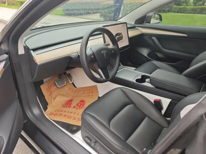 Model 3 2022 Model Rear-wheel drive version – фото 9