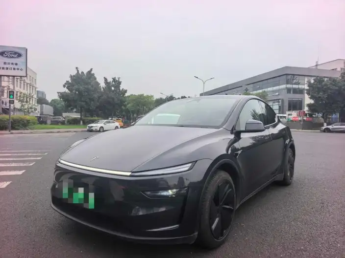 Model Y 2025 Model Rear-wheel drive version – фото 1
