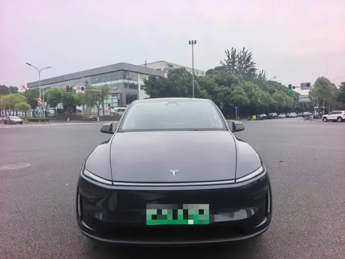 Model Y 2025 Model Rear-wheel drive version – фото 2