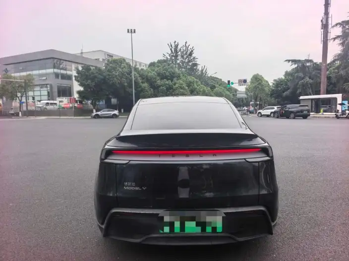 Model Y 2025 Model Rear-wheel drive version – фото 3