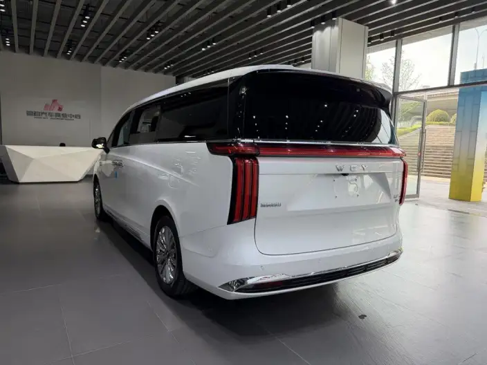 Wey Gaoshan P HEV 2023 Model 4WD Executive Extended Edition – фото 4