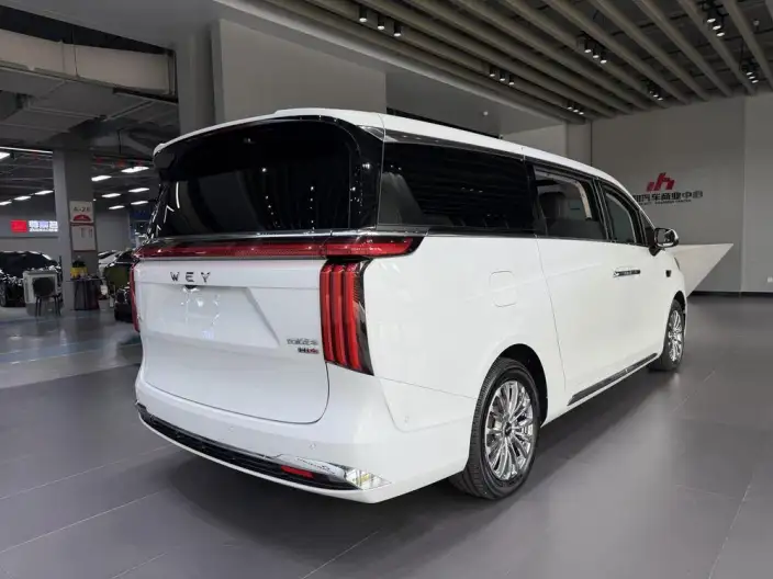 Wey Gaoshan P HEV 2023 Model 4WD Executive Extended Edition – фото 6