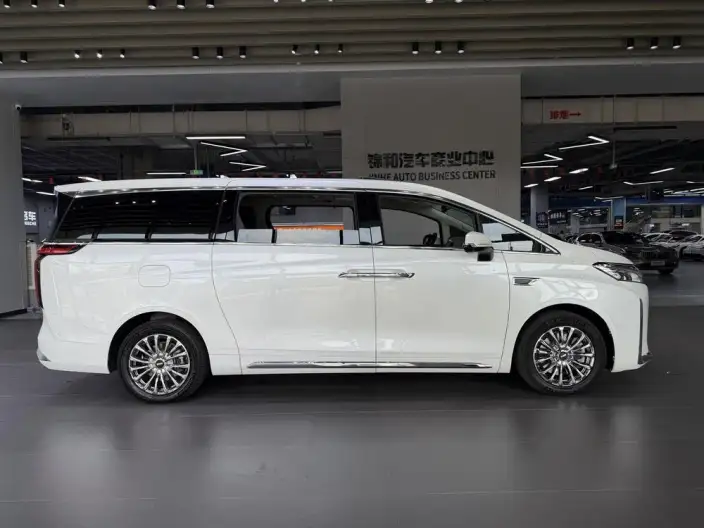 Wey Gaoshan P HEV 2023 Model 4WD Executive Extended Edition – фото 7