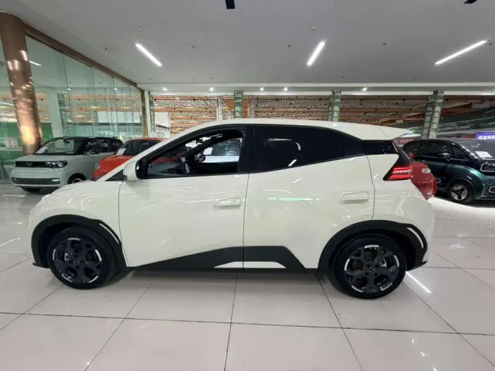 BYD Seagull 2023 Model Free Edition – фото 4
