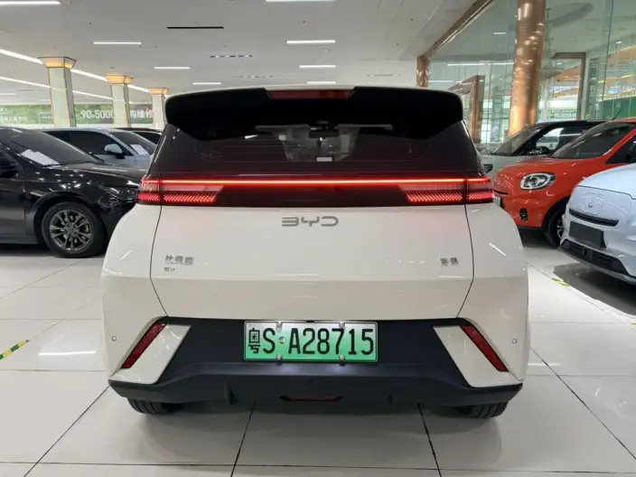 BYD Seagull 2023 Model Free Edition – фото 6