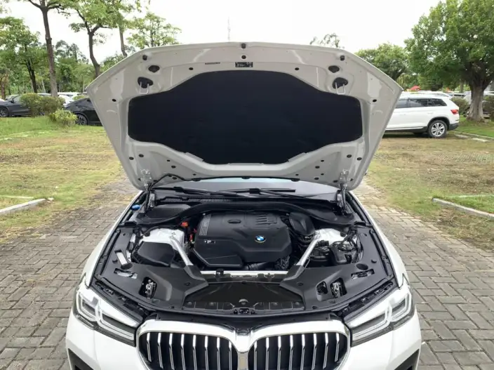 BMW 5 Series 2023 Model 530Li Leading Model M Sports Set – фото 7