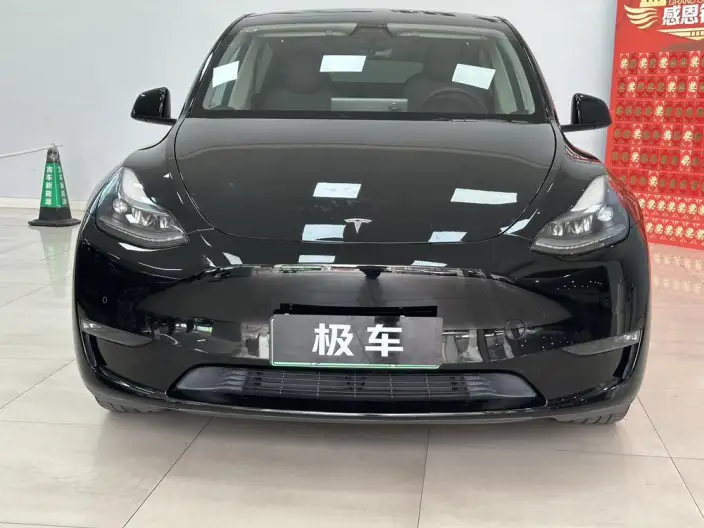 Model Y 2023 Model Long Battery Life Pro All-wheel drive version – фото 2