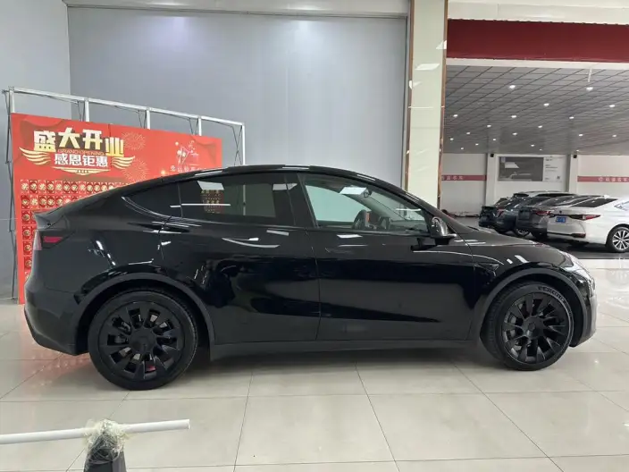 Model Y 2023 Model Long Battery Life Pro All-wheel drive version – фото 7