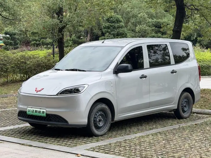 Wuling Hongguang EV Edition 2024 Model 300KM Standard Model
