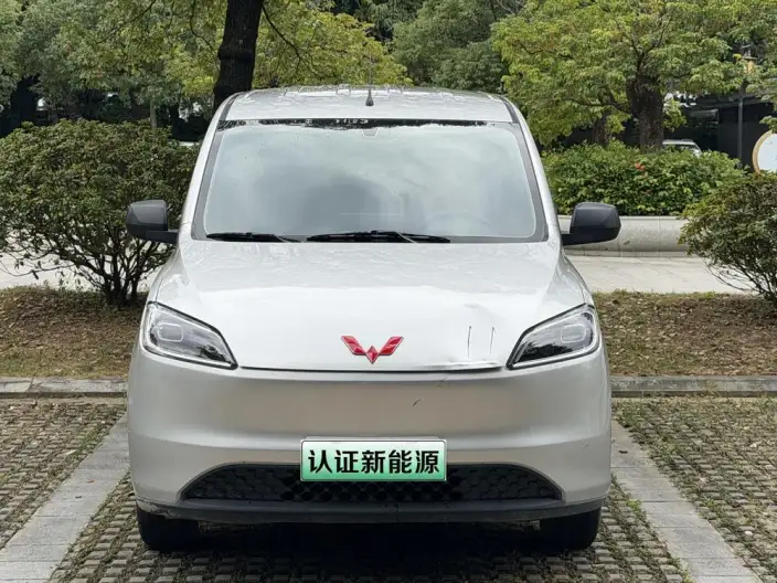 Wuling Hongguang EV Edition 2024 Model 300KM Standard Model