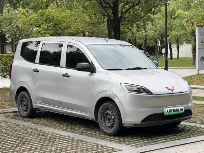Wuling Hongguang EV Edition 2024 Model 300KM Standard Model
