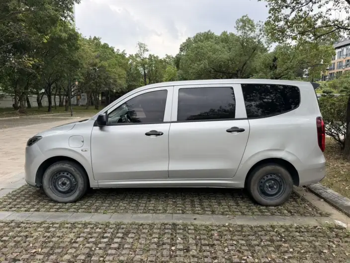 Wuling Hongguang EV Edition 2024 Model 300KM Standard Model