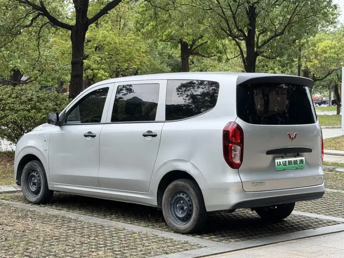 Wuling Hongguang EV Edition 2024 Model 300KM Standard Model – фото 5