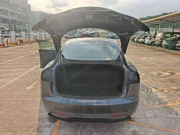 Model 3 2023 Model Rear-wheel drive version – фото 9