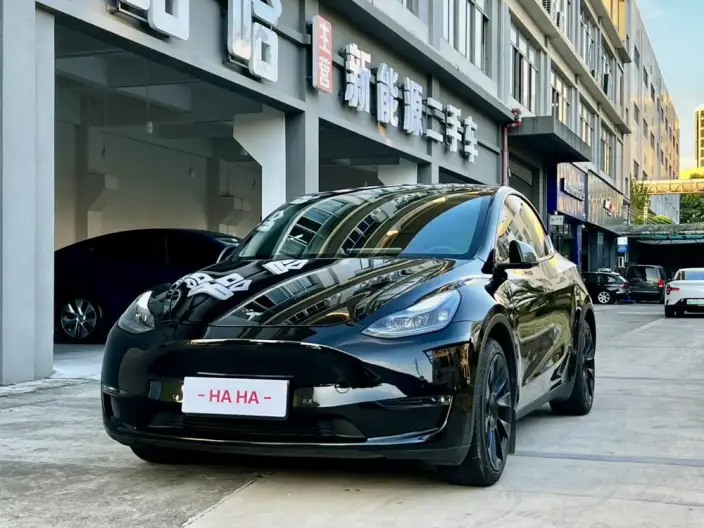 Model Y 2022 Model Long Battery Life Pro All-wheel drive version – фото 1