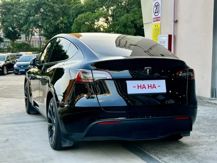 Model Y 2022 Model Long Battery Life Pro All-wheel drive version – фото 4
