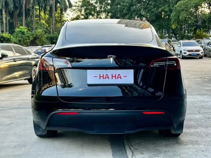Model Y 2022 Model Long Battery Life Pro All-wheel drive version – фото 5