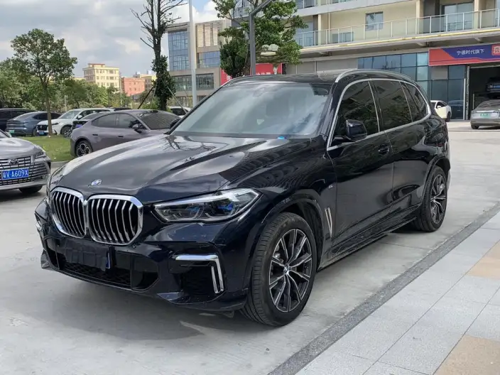 BMW X5 2022 Model xDrive 30Li Exclusive Model M Sports Set – фото 1