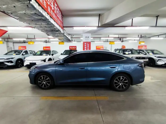 BYD Seal 06 DM 2024 Model DM-i 120KM Exclusive Model – фото 3