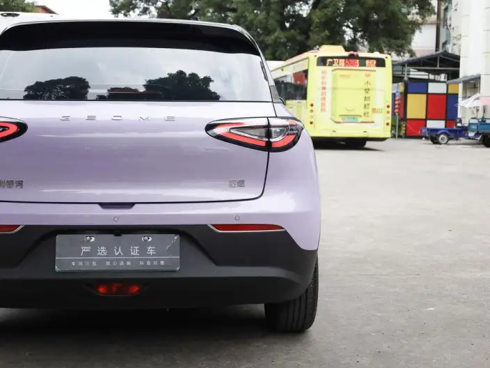 Geely Galaxy StarWish 2026 Model 310km Youth Edition – фото 9