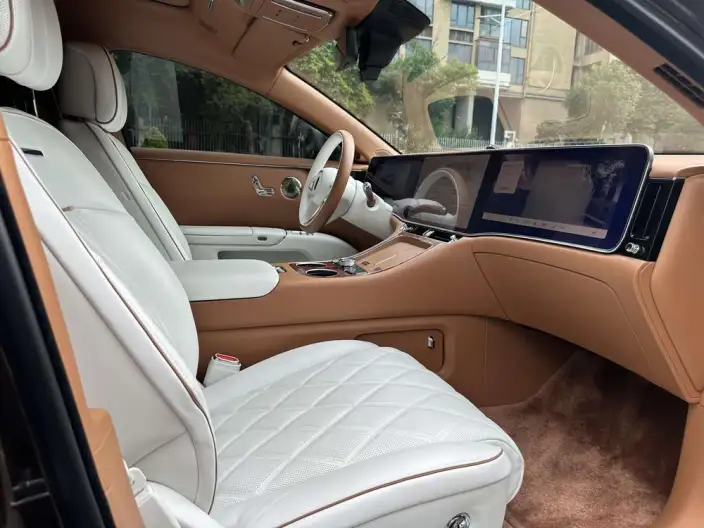 Zunjie S800 2025 Model Extended Range Starlight Exclusive Edition 5 seat – фото 9