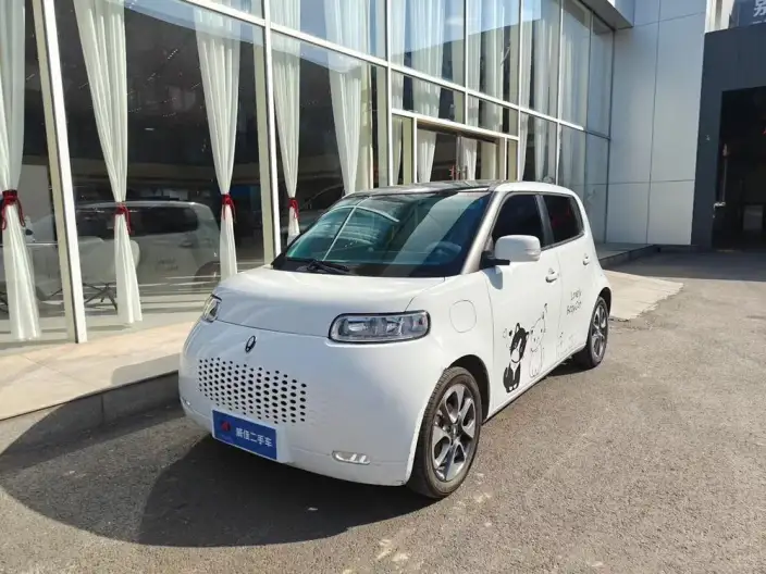 ORA White Cat 2022 Model L Class Edition 305km Luxury Model Ternary lithium – фото 1