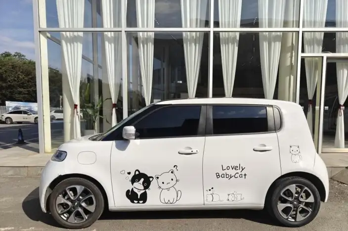 ORA White Cat 2022 Model L Class Edition 305km Luxury Model Ternary lithium – фото 2