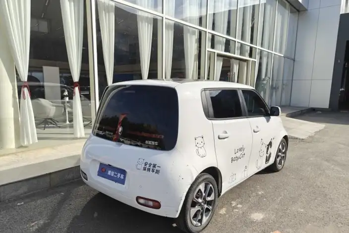 ORA White Cat 2022 Model L Class Edition 305km Luxury Model Ternary lithium – фото 3