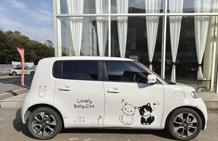 ORA White Cat 2022 Model L Class Edition 305km Luxury Model Ternary lithium – фото 4