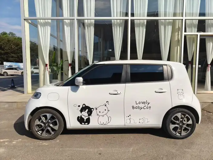 ORA White Cat 2022 Model L Class Edition 305km Luxury Model Ternary lithium – фото 5